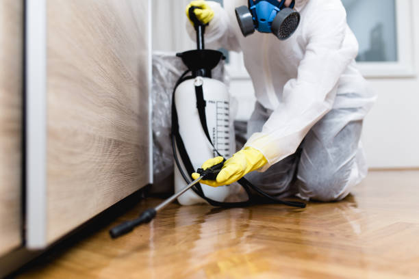 Best Local Pest Control Services  in Lolo, MT