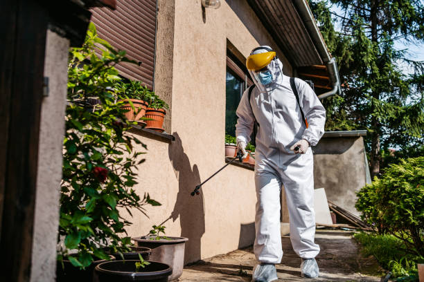 Best Residential Pest Control  in Lolo, MT