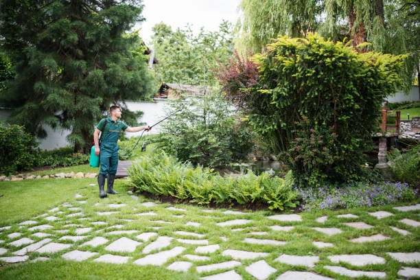 Best Best Pest Control Companies  in Lolo, MT
