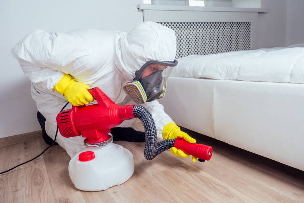 Best Pest Removal Services  in Lolo, MT