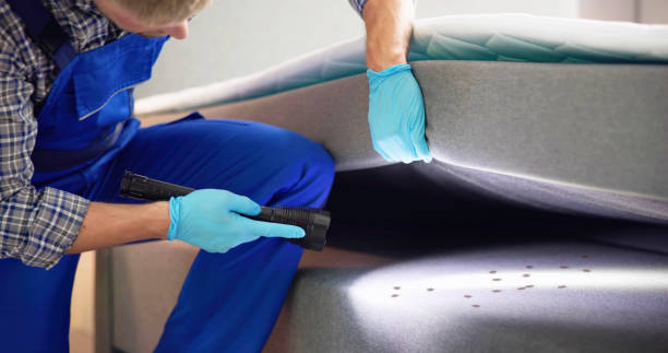Best Cockroach Control Services  in Lolo, MT
