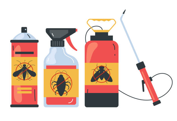 Insect Control in Lolo, MT